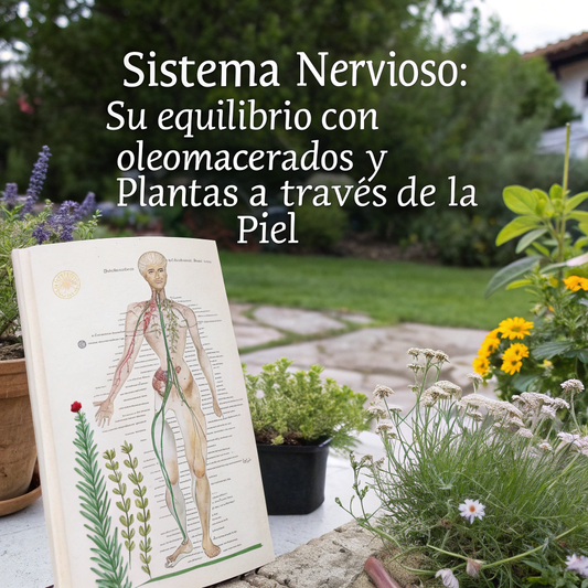 CURSO: "Sistema Nervioso, su Equilibrio con Oleomacerados y Plantas a Través  de la Piel"