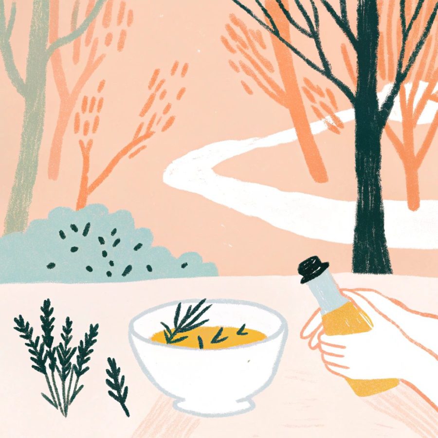 SISTEMA NERVIOSO: SU EQUILIBRIO CON  OLEOMACERADOS Y PLANTAS A TRAVÉS DE LA PIEL.