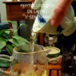 CURSO PHYTOCUIDADOS DE LA PIEL - 3er Seminario