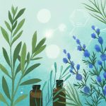 INTRODUCCIÓN A LA QUÍMICA DE LOS ACEITES ESENCIALES
